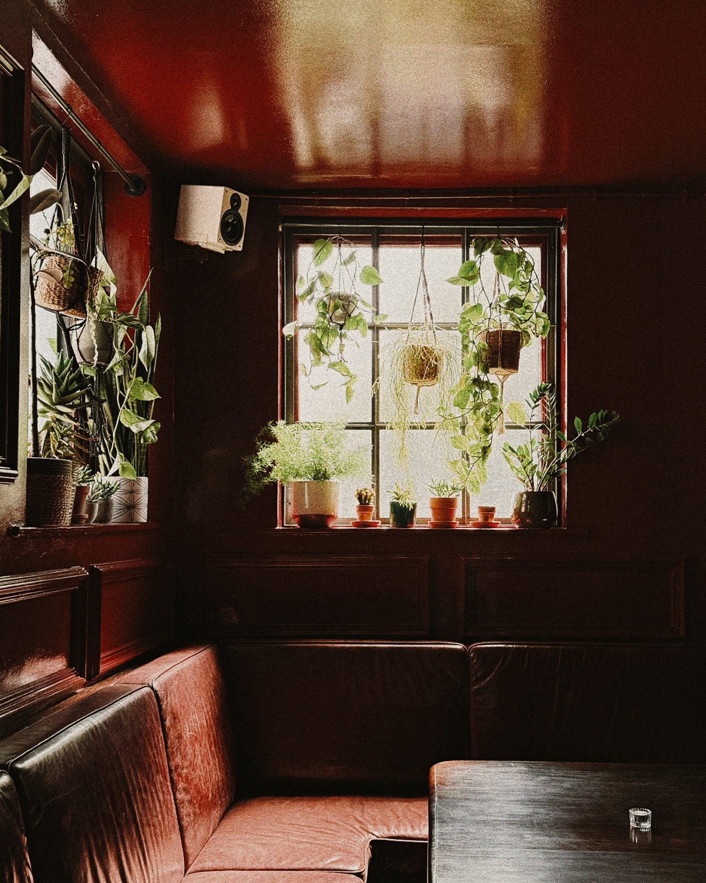 Friday night cocktails 🍸 🌿

#fivefourstudios