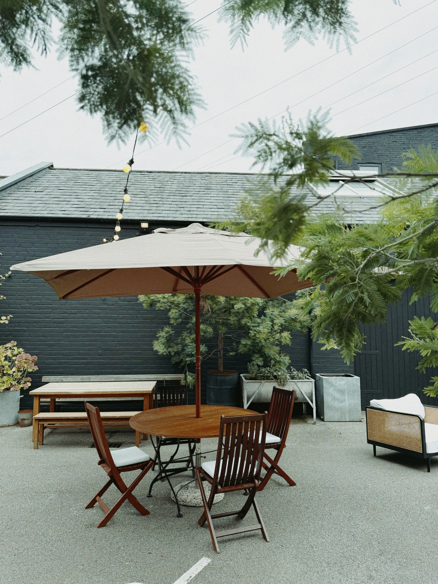 🌴🌿

#fivefourstudios